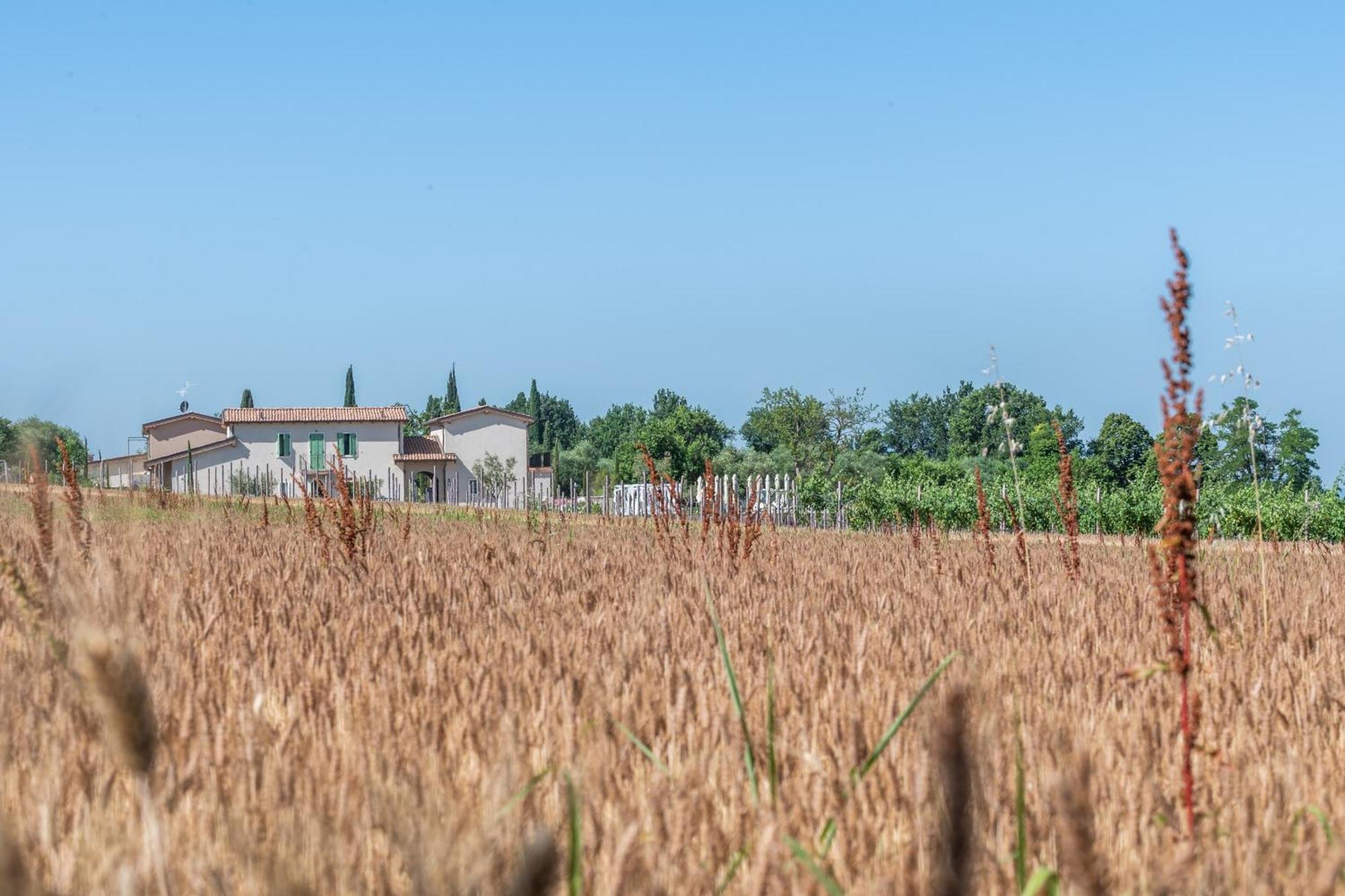 Natiia Relais - Adults Only Hotel Lazise Buitenkant foto