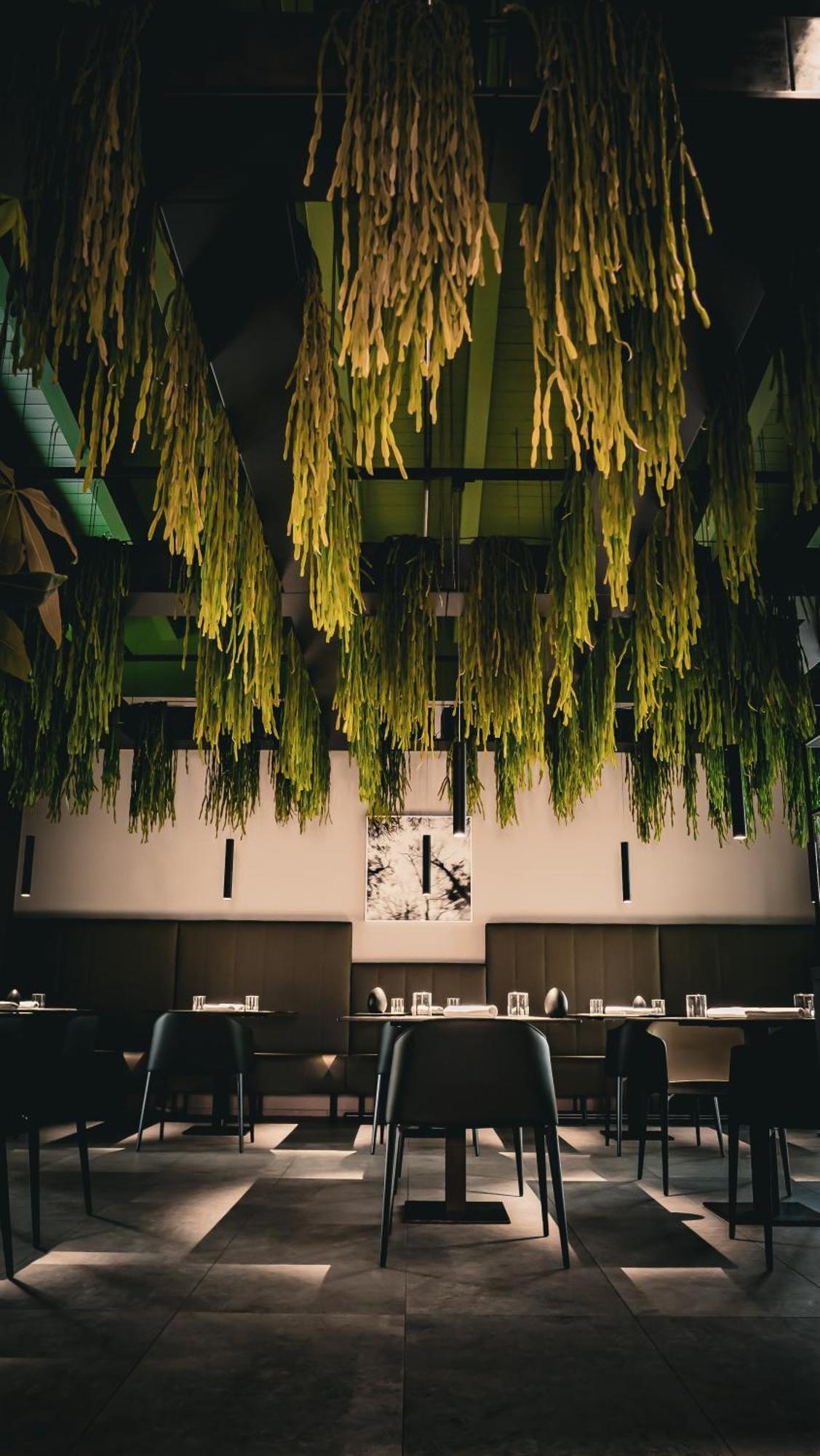 Natiia Relais - Adults Only Hotel Lazise Buitenkant foto